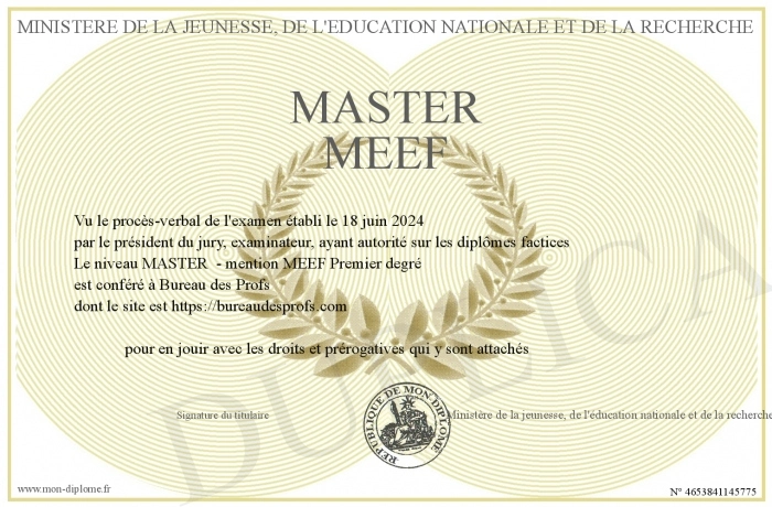 master meef premier degré diplome factice rentree