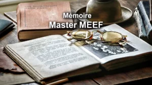 Lire la suite à propos de l’article Conseils Mémoire Master MEEF 1er degré : exemples, sujet, plan et organisation