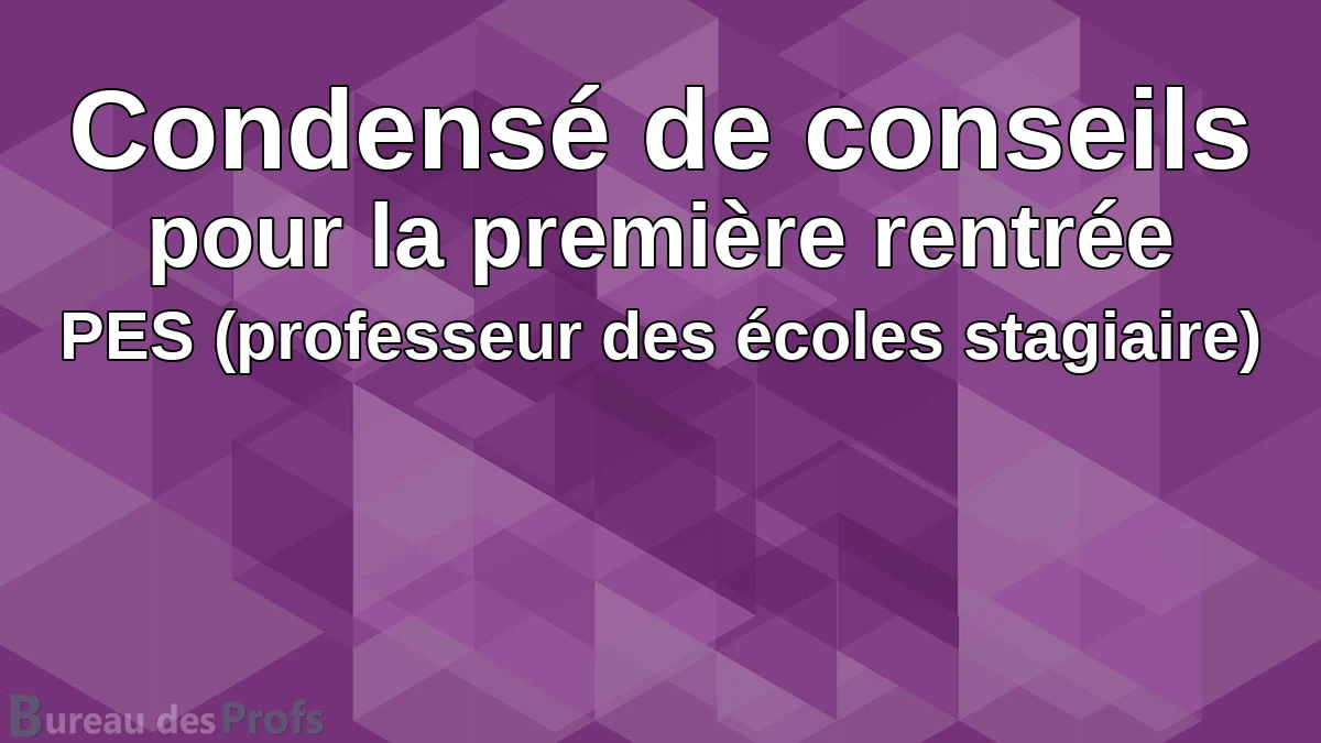 You are currently viewing Condensé de conseils pour la première rentrée PES (professeur des écoles stagiaire)