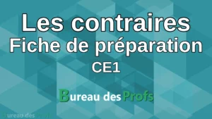 Lire la suite à propos de l’article Les contraires (CE1) – Fiche de préparation séquence
