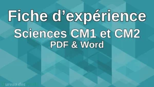 Lire la suite à propos de l’article Fiche d&rsquo;expérience pour la démarche d&rsquo;investigation en sciences – CM1 et CM2 – PDF & Word